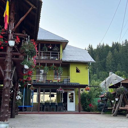 Hotel Pensiunea Gaiu Albac Exteriér fotografie