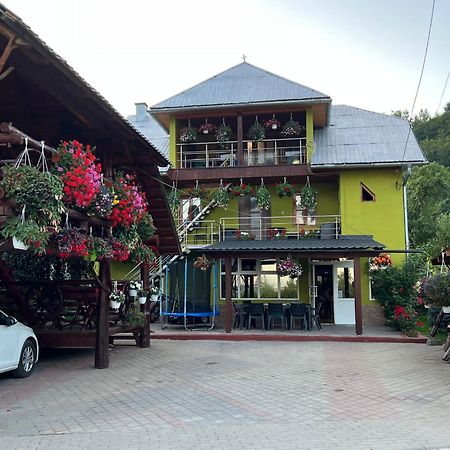 Hotel Pensiunea Gaiu Albac Exteriér fotografie