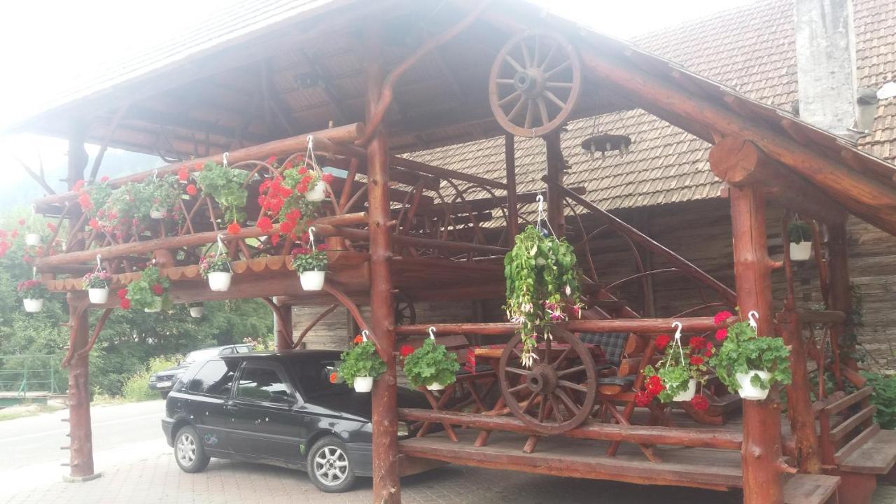 Hotel Pensiunea Gaiu Albac Exteriér fotografie