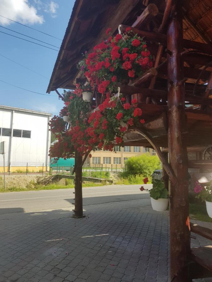 Hotel Pensiunea Gaiu Albac Exteriér fotografie