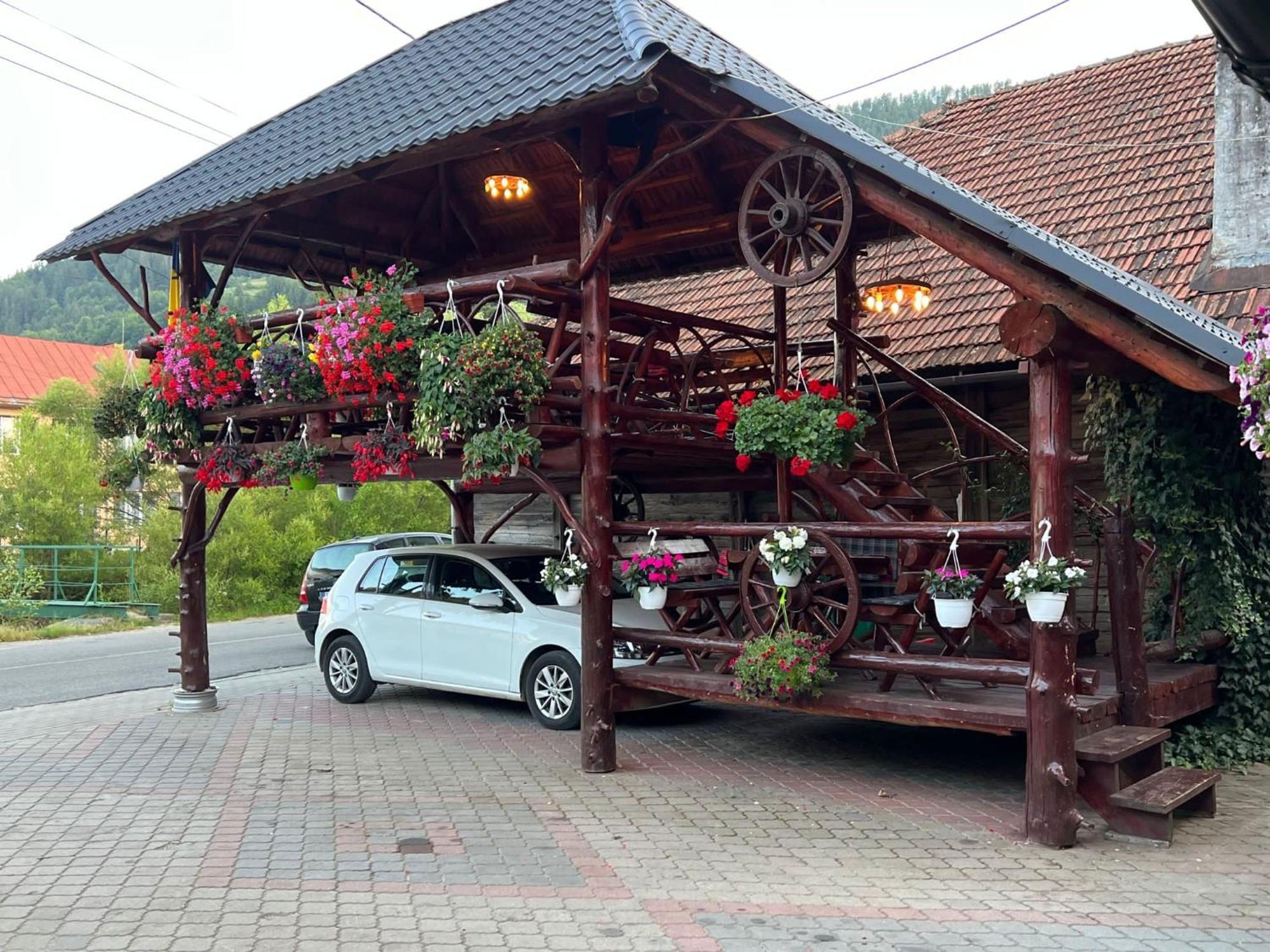 Hotel Pensiunea Gaiu Albac Exteriér fotografie