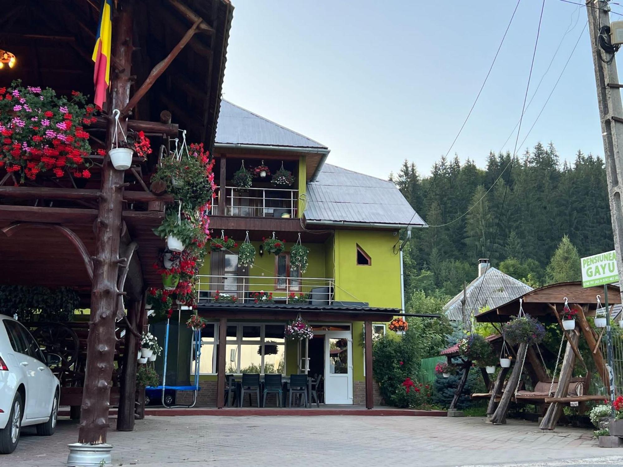 Hotel Pensiunea Gaiu Albac Exteriér fotografie