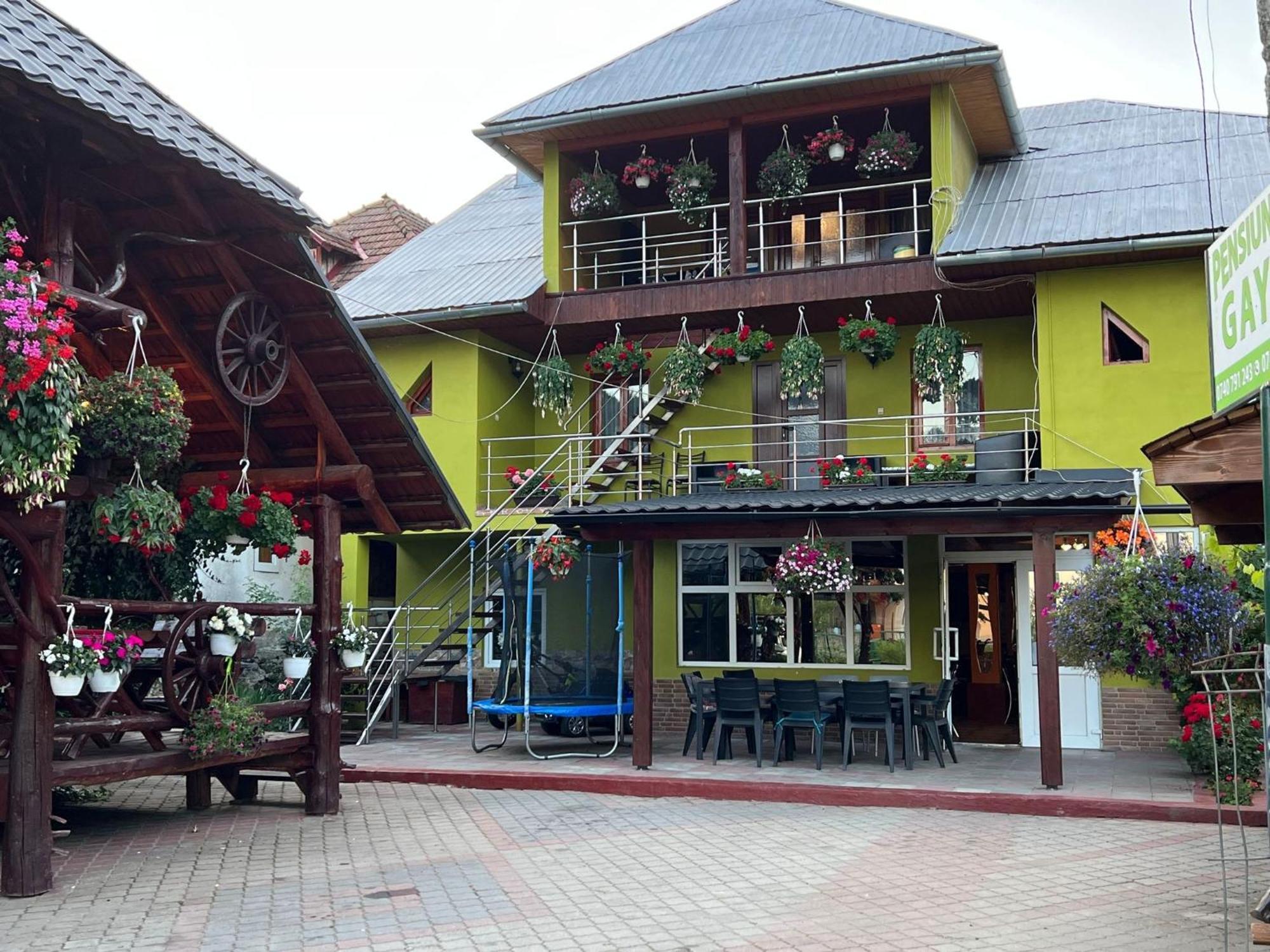 Hotel Pensiunea Gaiu Albac Exteriér fotografie