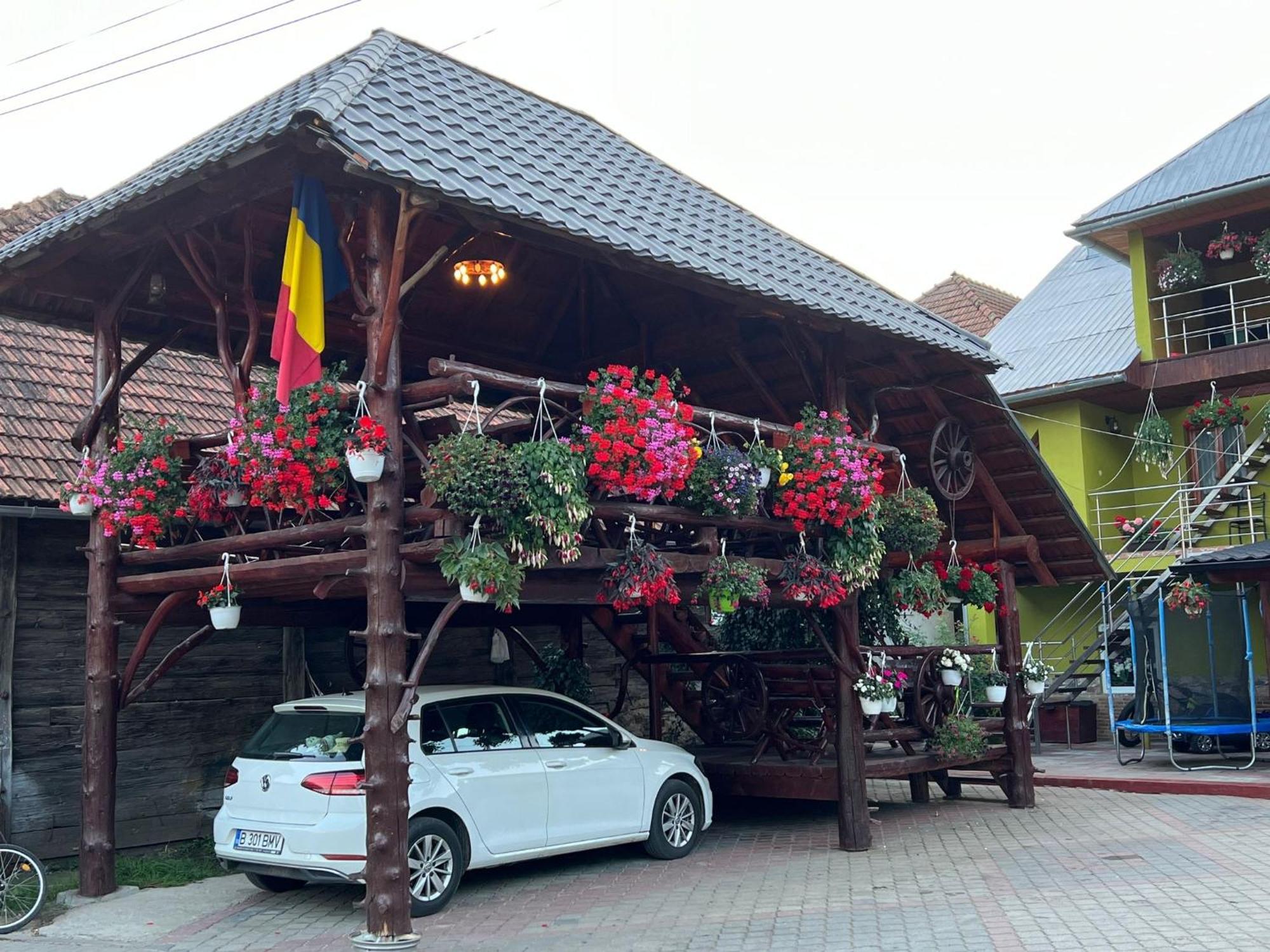 Hotel Pensiunea Gaiu Albac Exteriér fotografie