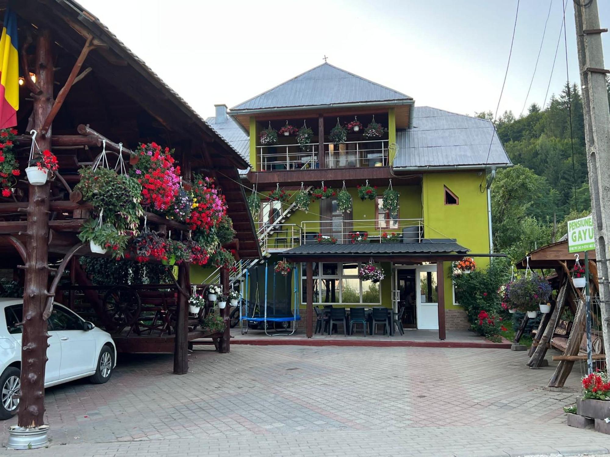 Hotel Pensiunea Gaiu Albac Exteriér fotografie