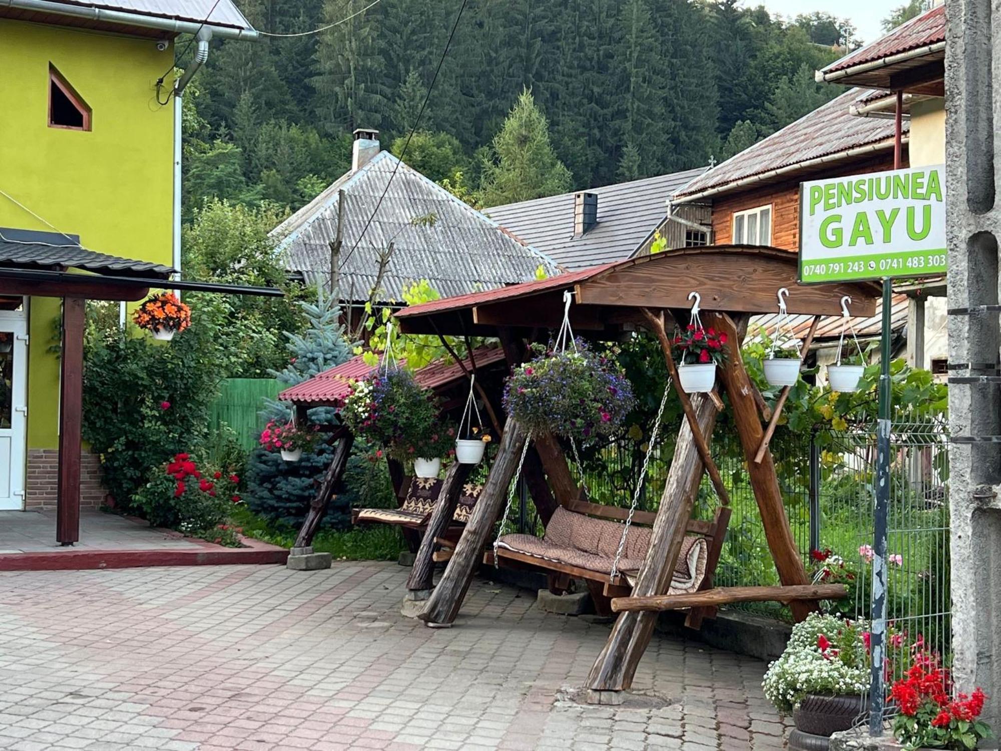 Hotel Pensiunea Gaiu Albac Exteriér fotografie